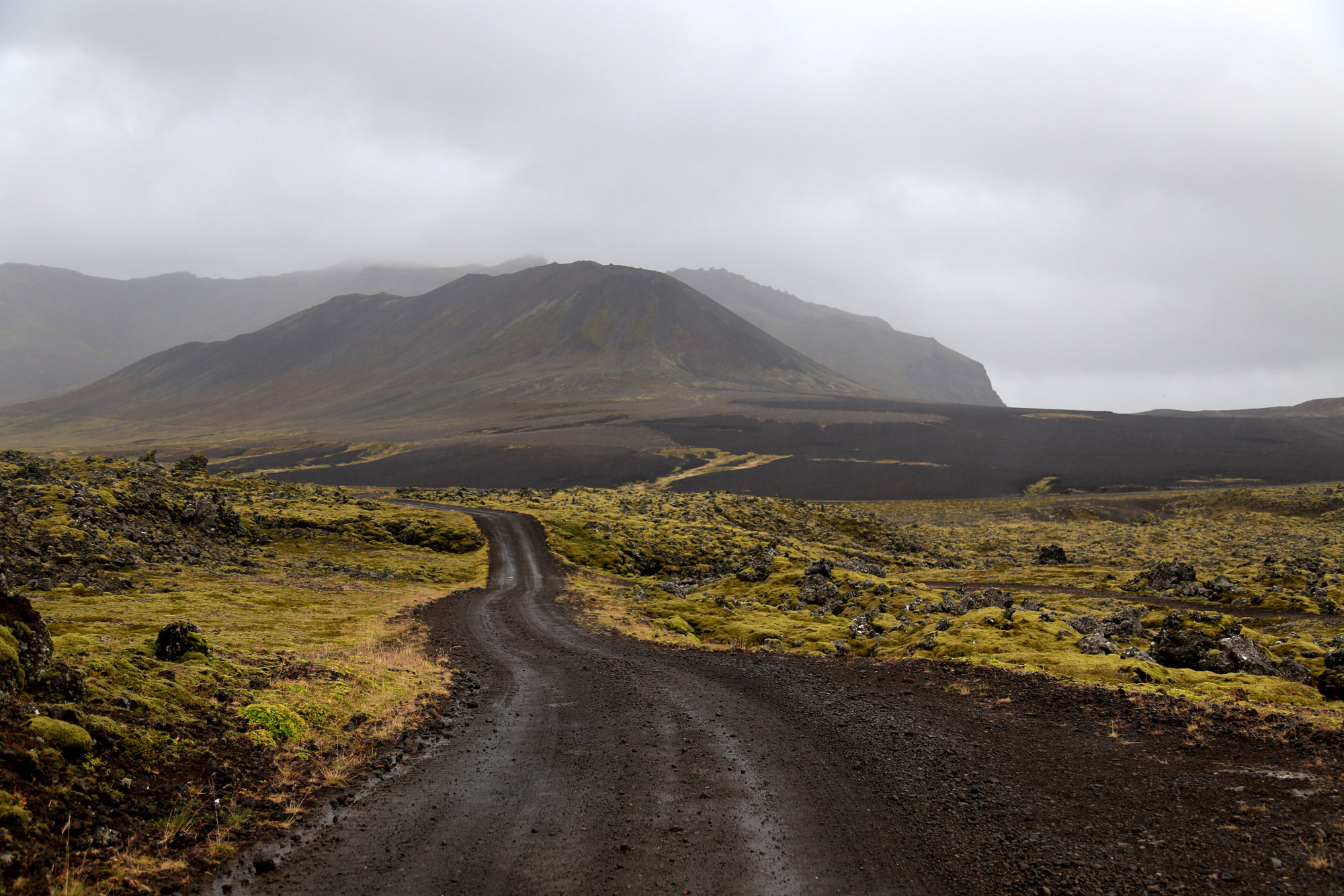 Strada sterrata in un campo di lava coperto di muschio, Islanda
